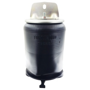 TR9663 | Trailer Air Spring
