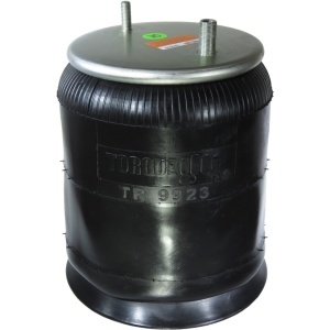 TR9923 | Trailer Air Spring
