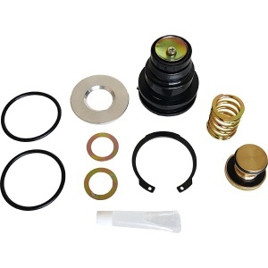 TR950014 | Purge Valve Kit for SS1200 Air Dryer