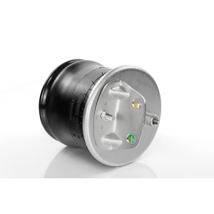 TR9586 | Air Springs Replaces W01-358-9586, W013589586, 90557249