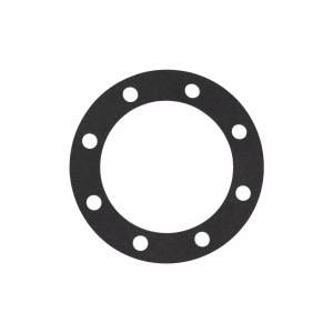 TR3303106 | Hub Cap Gasket with 8-Hole